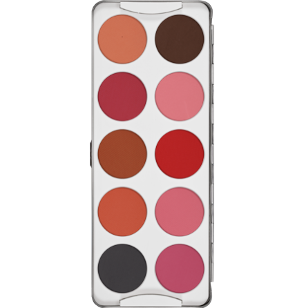 Dry Rouge Palette 10 colors