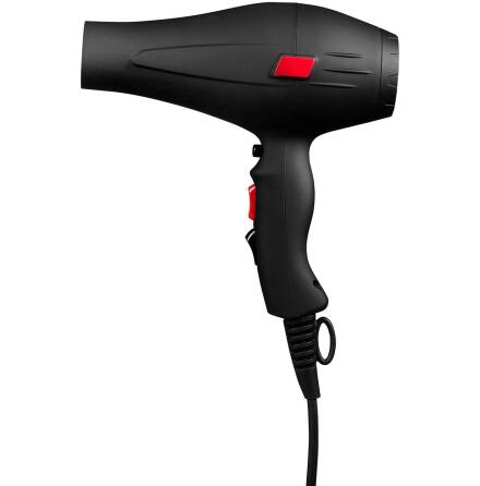 Cera Pro dryer 2000ION