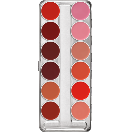 Lip Rouge Palette 12 color